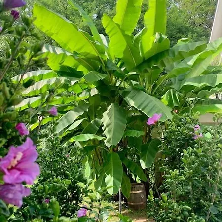 Maison Nature & Riviere Au Calme Вилла Альби