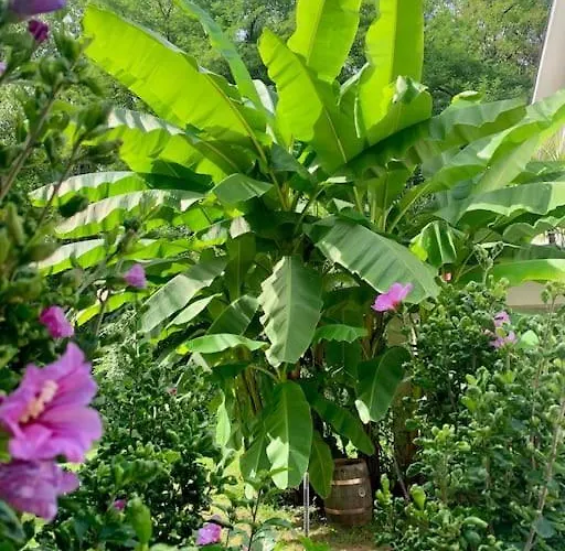 Maison Nature & Riviere Au Calme Willa Albi